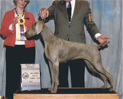 katie bob 2.jpg - 99.9 K